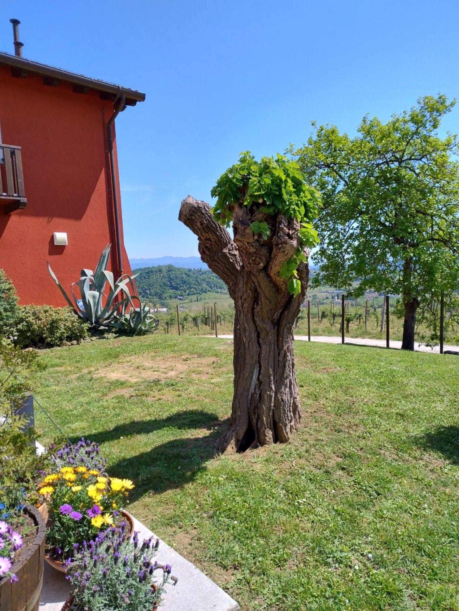 Le Badie Wine Resort Rosazzo 외부 사진