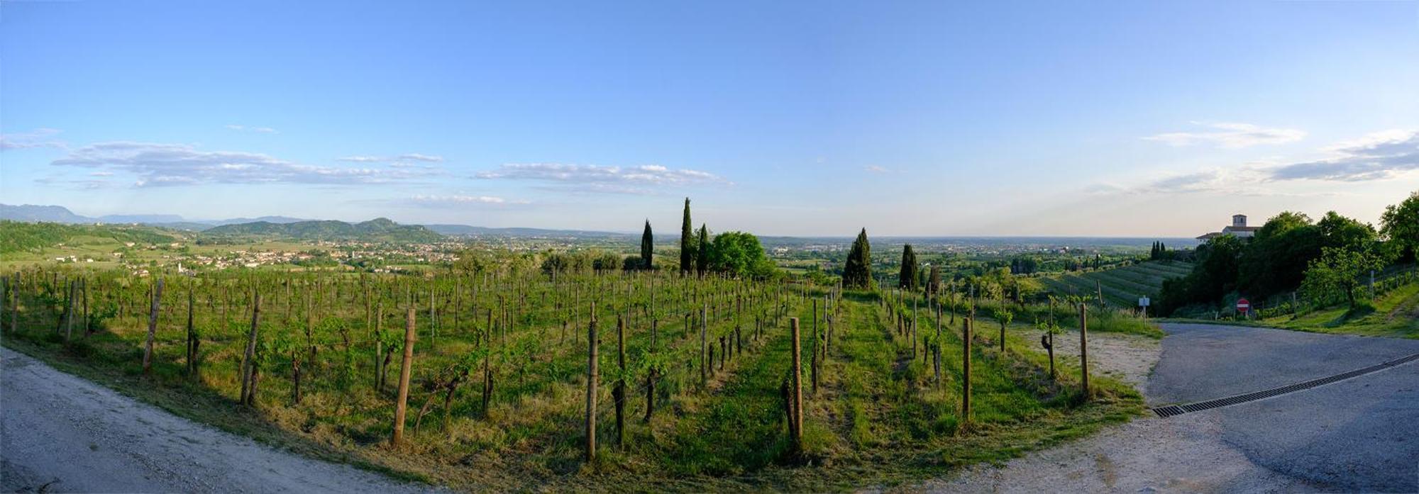 Le Badie Wine Resort Rosazzo 외부 사진