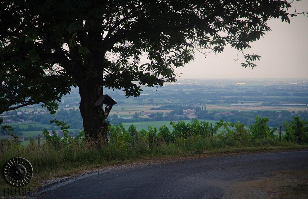 Le Badie Wine Resort Rosazzo 외부 사진